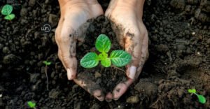 Read more about the article The Role of Educational Campaigns in Expanding Homeopathy Awareness Globally