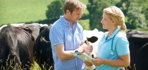 Read more about the article Vets in Northern Ireland to Promote Early Health Checks for Farmers in UK First